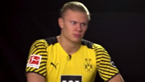 高质量机会 高质量机会