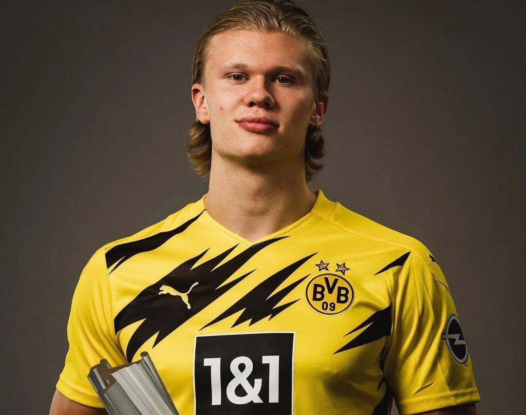 这正是ML 这正是ML